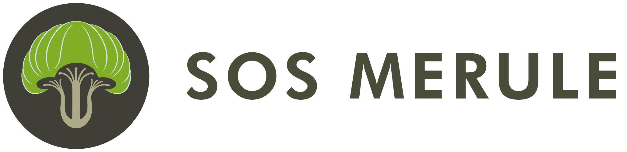 SOS Mérule